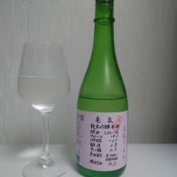 亀泉