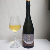 光栄菊