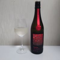 電照菊