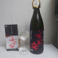 寒紅梅