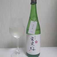 宮寒梅