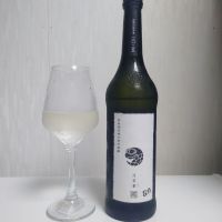 涅槃龜