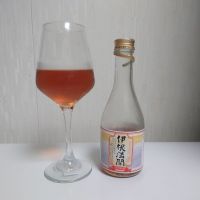 伊根満開
