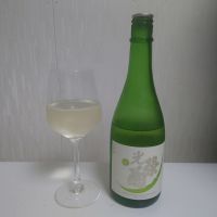 
            光栄菊_
            コバチッチさん