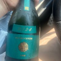新政