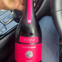 新政