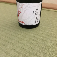 
            風の森_
            モコモコさん