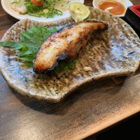 田酒のレビュー by_モコモコ