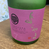 長崎県の酒