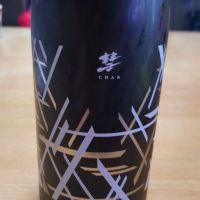 彗（シャア）メテオライト