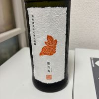 陽乃鳥