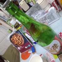 
            光栄菊_
            ウルボロスさん