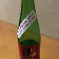 山本