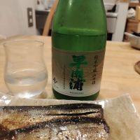 早瀬浦のレビュー by_スンモ