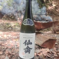 仙禽