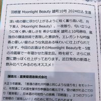 羽根屋のレビュー by_環那のパパ