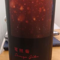 電照菊