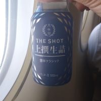 THE SHOT
