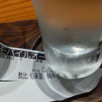 伯楽星