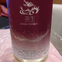 永平寺白龍
