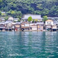 京の春のレビュー by_しん