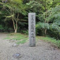 八咫烏のレビュー by_しん