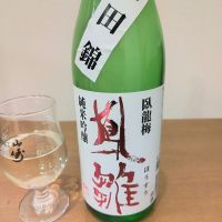 臥龍梅