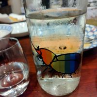 栃木県の酒