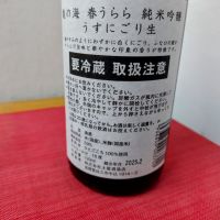 亀の海のレビュー by_しん