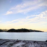 忠臣蔵のレビュー by_しん