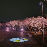 東一のレビュー by_しん