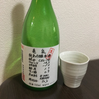 高知県の酒