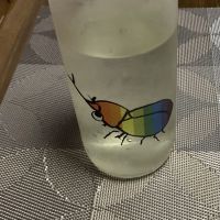 仙禽