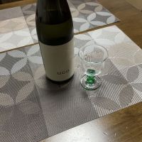 UGO