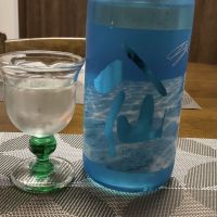 
            陸奥八仙_
            コンテンダーさん
