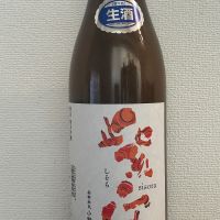 紫宙