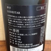 甲子のレビュー by_ku