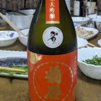 菊石