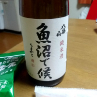 新潟県の酒