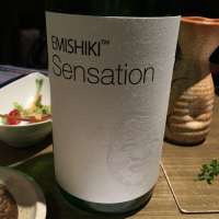 
            SENSATION_
            Takayuki  Okamotoさん