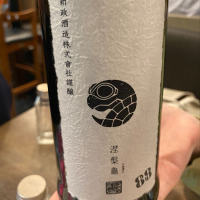涅槃龜