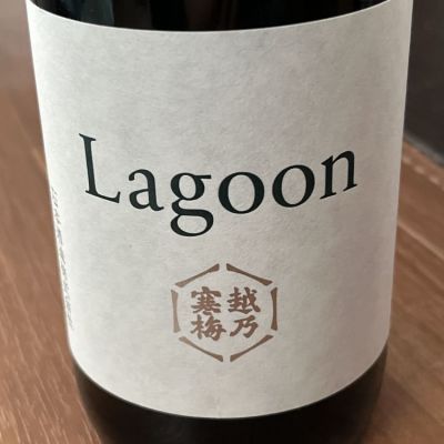 新潟県の酒