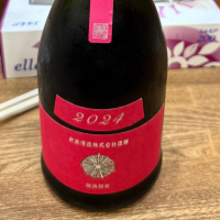 新政