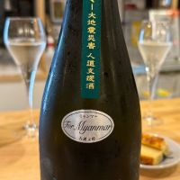 新政