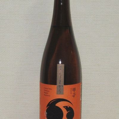 甲子のレビュー by_海の男