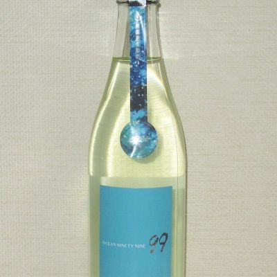 OCEAN99のレビュー by_海の男