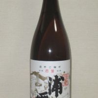 浦霞