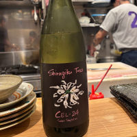 高知県の酒