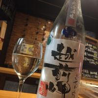 越前岬