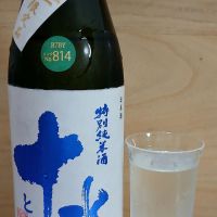 十水